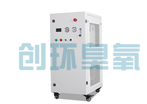 蛟河石斑鱼养殖水质调控完整指南:臭氧发生器配置与操作步骤